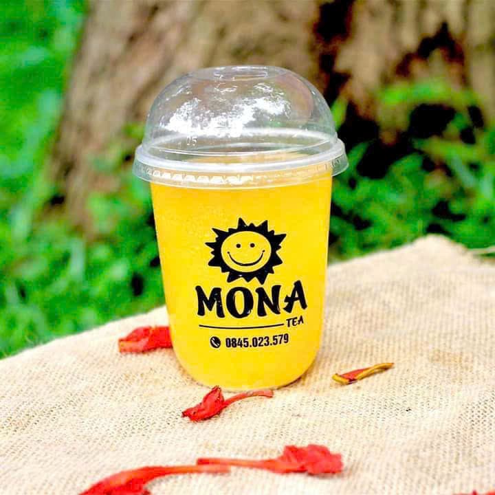 Mẫu in gia công lụa và tampon VNPIS số 8